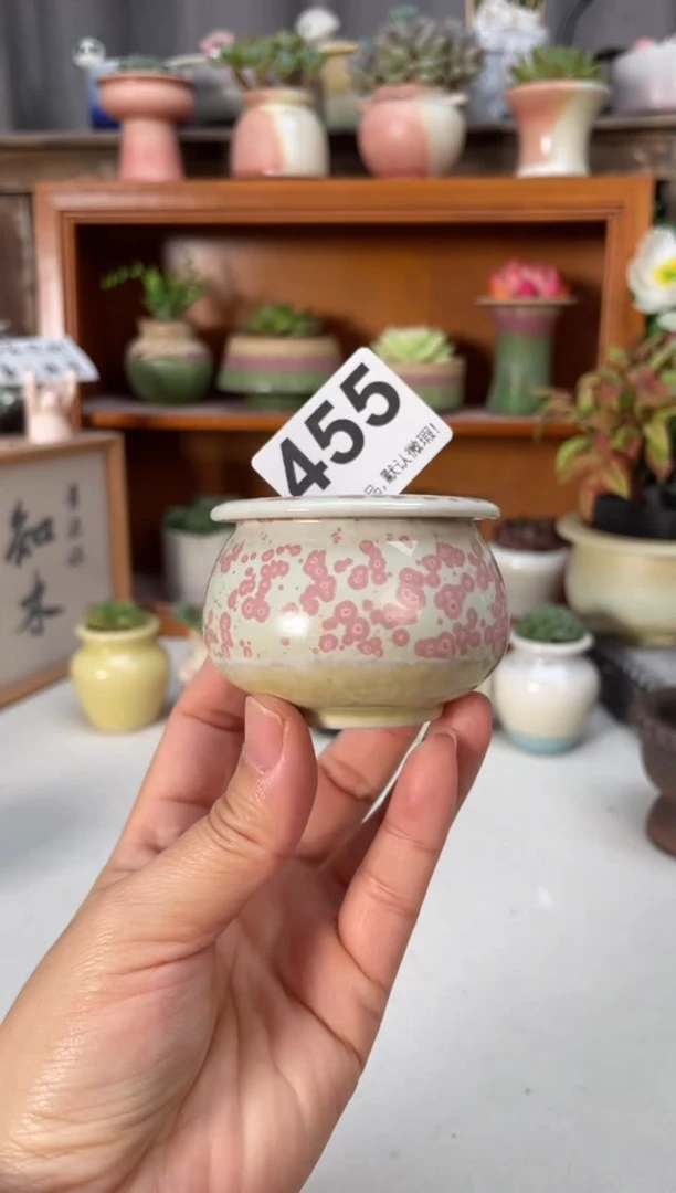 瓷片455小芳直播编号