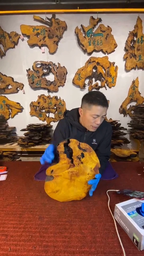 香杉木定制干泡台香杉树瘤树根