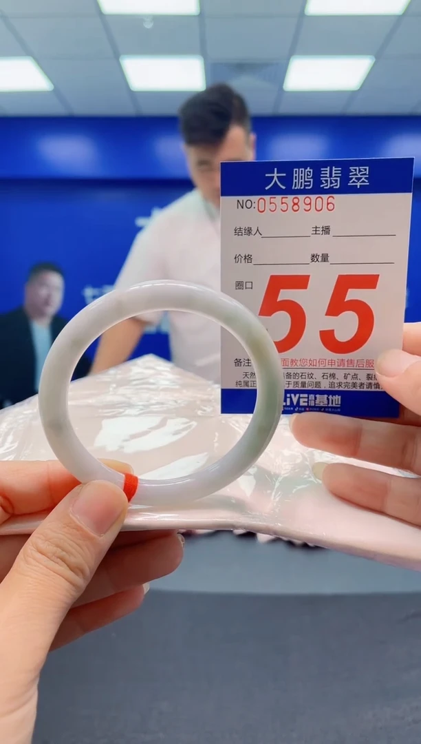 未镶嵌手镯翡翠AAAAAAAAA