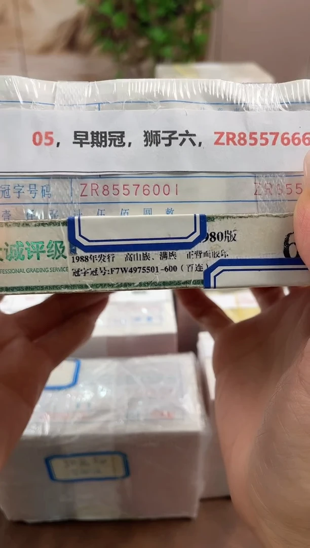 M，05，早期冠，狮子六，ZR85576666