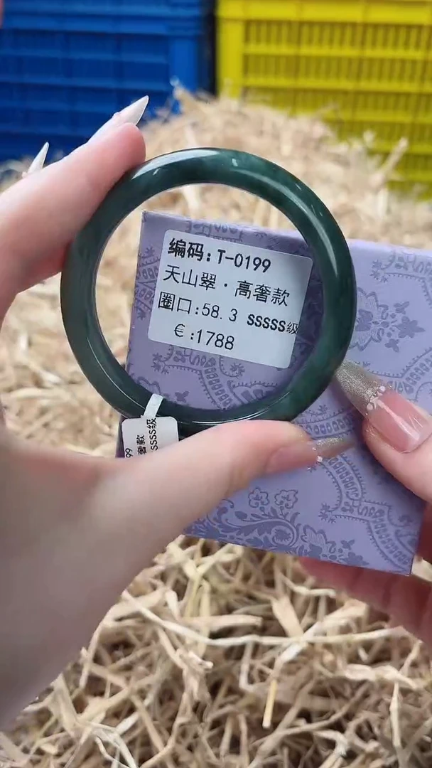 未镶嵌手镯石英质玉T-0199