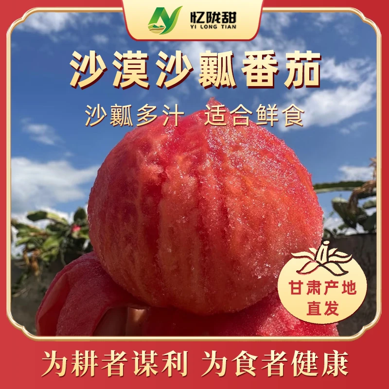 忆陇甜甘肃沙漠沙瓤西红柿现摘现发净重4.5斤装生吃沙瓤多汁产地