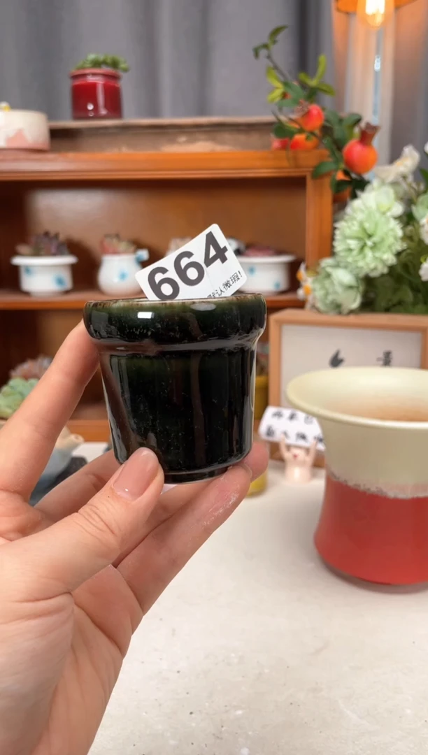 瓷片663小芳花盆直播编号