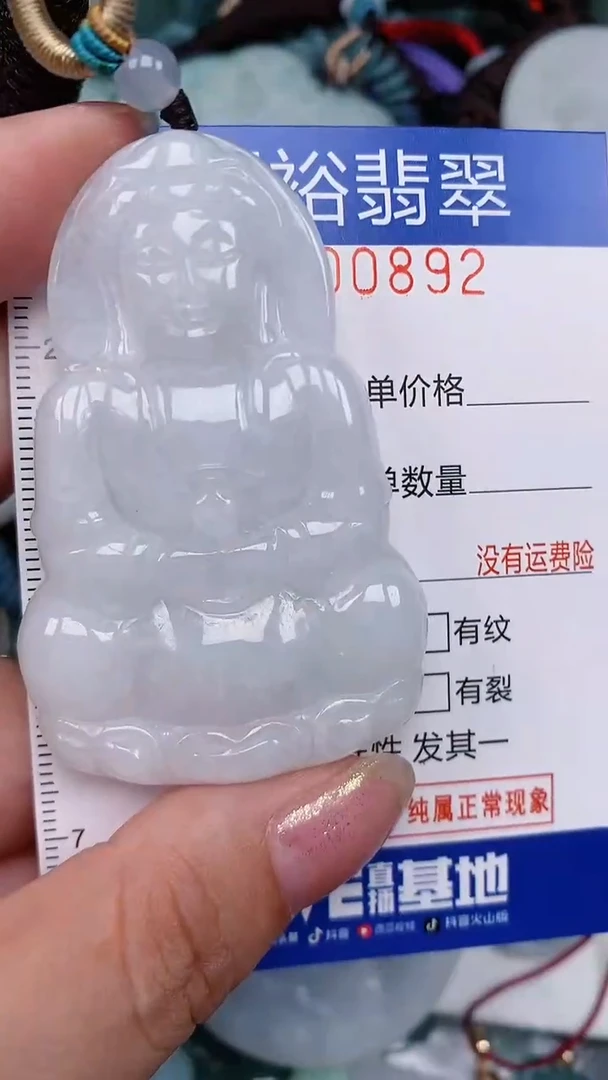翡翠未镶嵌颈饰...0000892