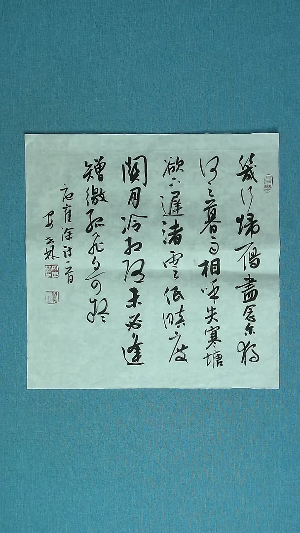 【闪购商品】书法096 甘肃安世林中书协46*46