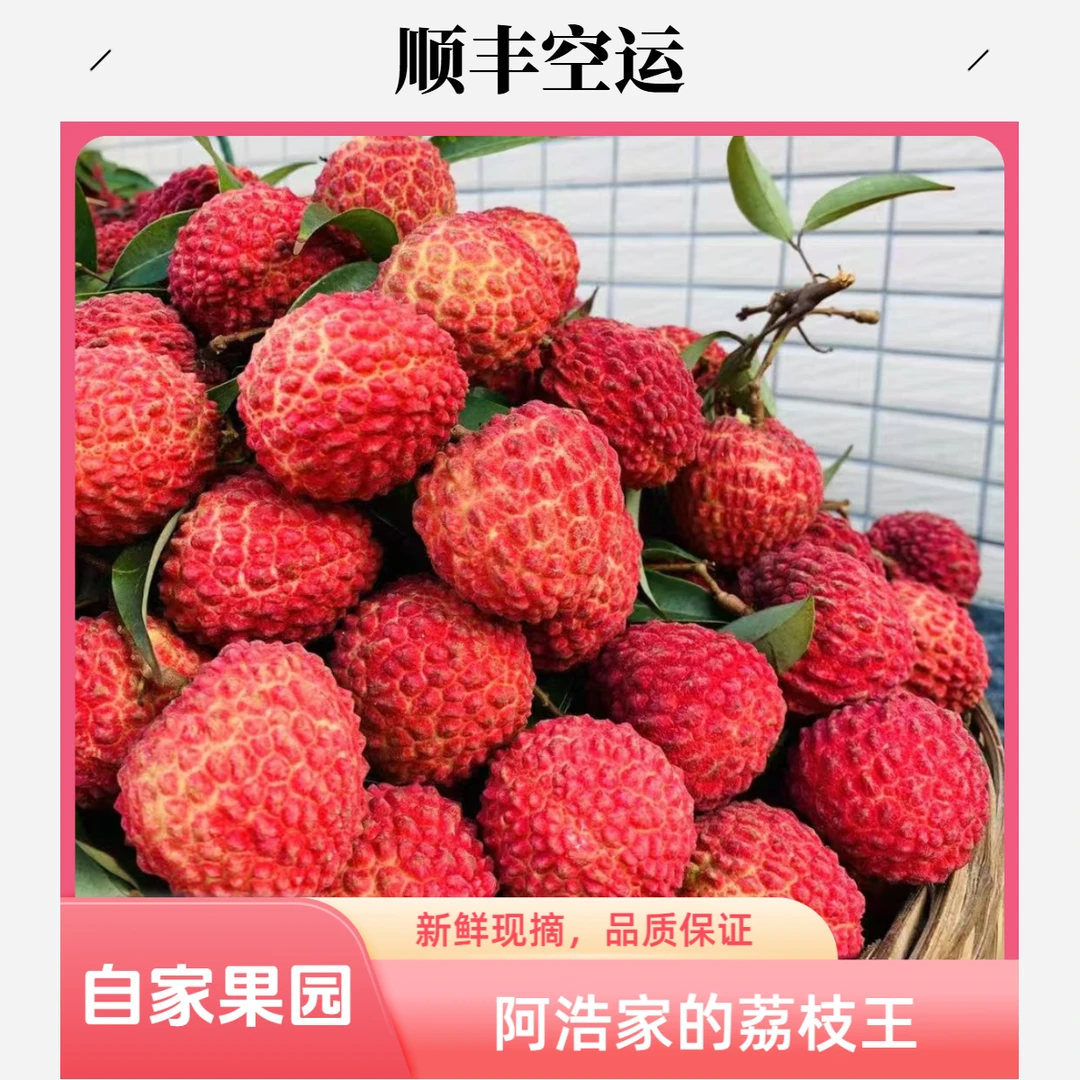 【顺丰空运】海南永兴火山荔枝王新鲜现摘果园直发精品大果端午礼盒