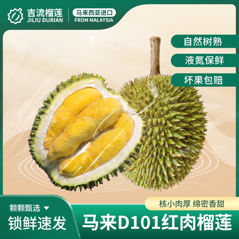 【D101红肉榴莲保5房】马来西亚树熟液氮榴莲 当季新果 顺丰包邮
