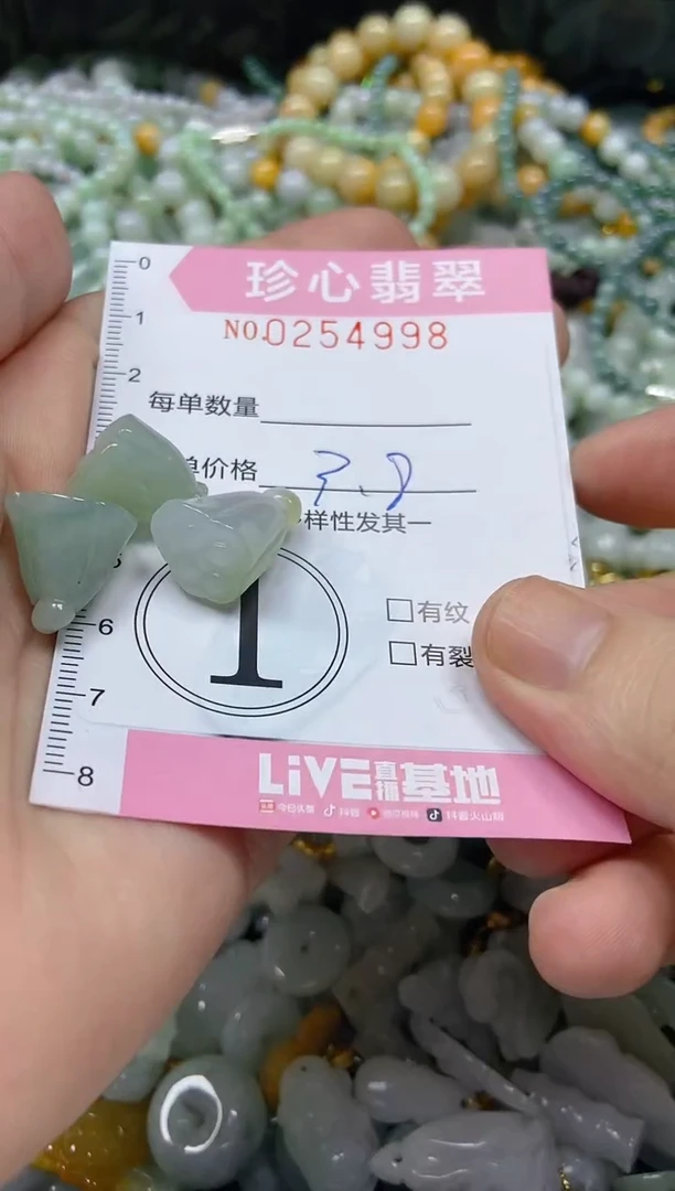 翡翠未镶嵌颈饰闪购0254998多样性发其一