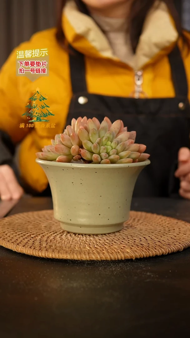 瓷片 外口径约13  外高约9