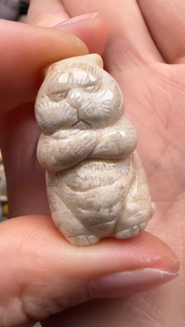 【闪购商品】硅化珊瑚（珊瑚玉）颈饰未镶嵌648