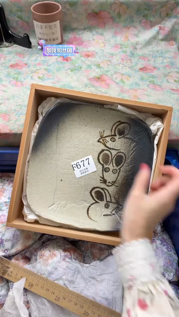 瓷片用****2       F677*