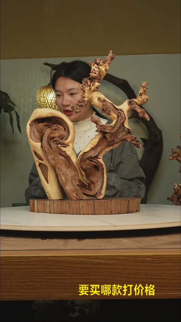 木旭*根雕摆件类770