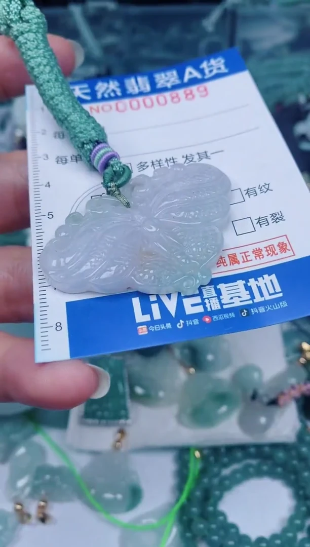 颈饰未镶嵌翡翠00000889