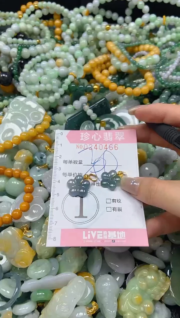 翡翠未镶嵌颈饰闪购0240466多样性发其一