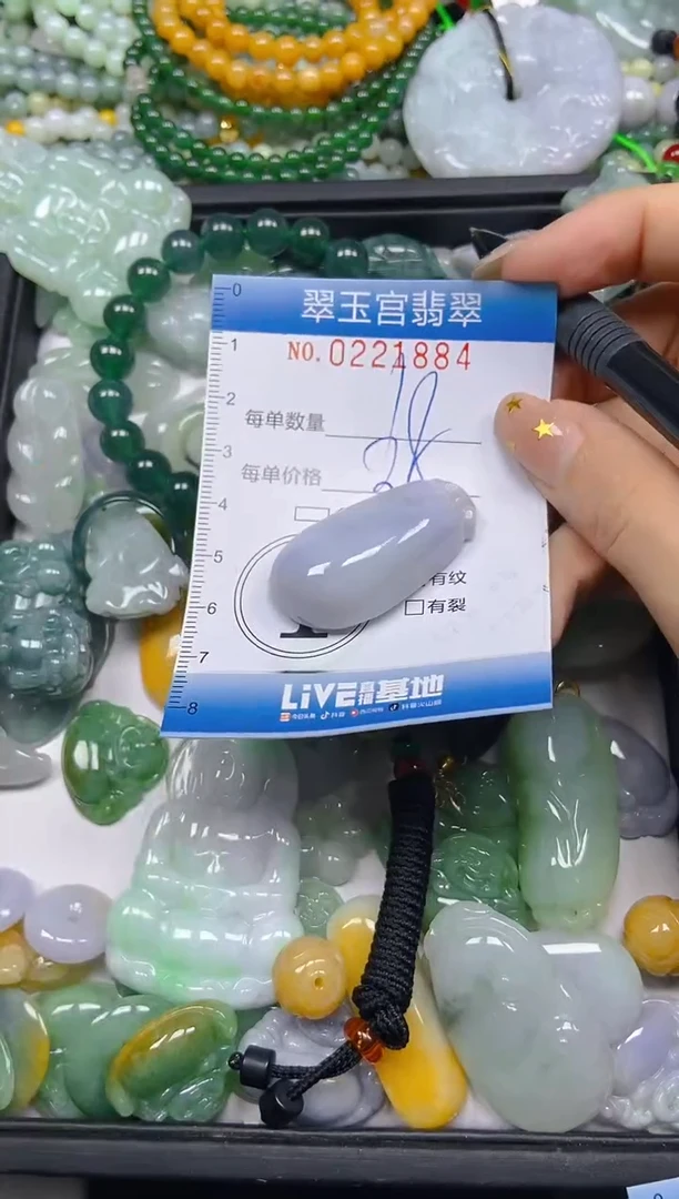 颈饰未镶嵌翡翠闪购C0221884