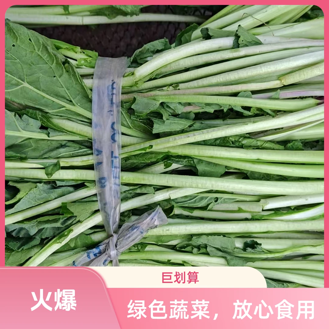 农家自产自摘油菜