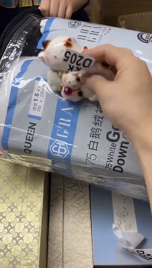 瓷片乐***…205 乐善………