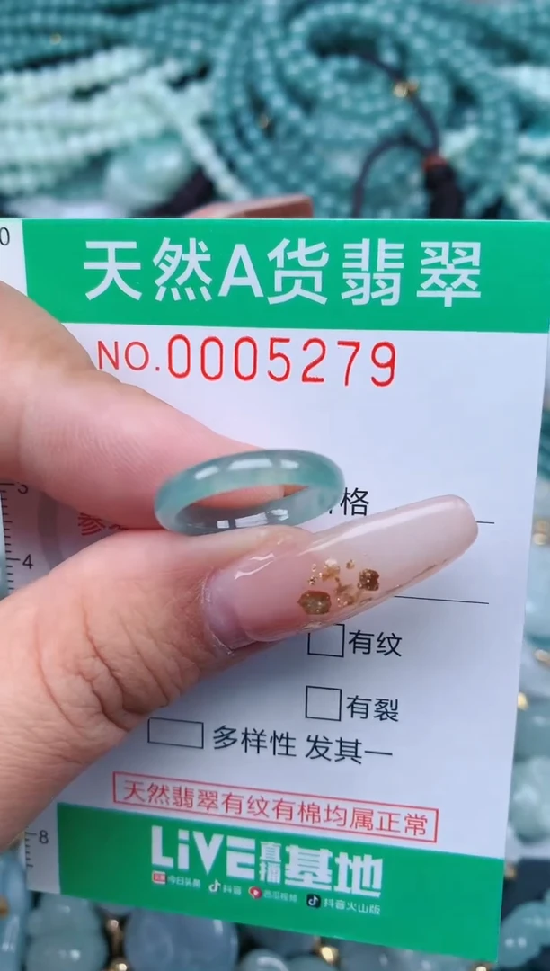 【闪购商品】翡翠颈饰未镶嵌.0005279