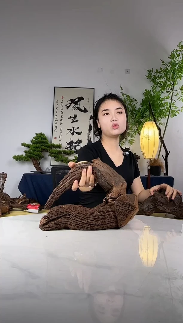 洛**石拍这个定向编号79