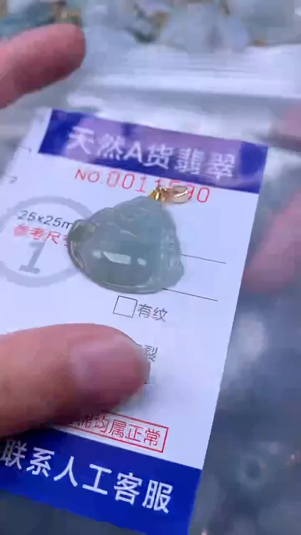 翡翠未镶嵌吊坠(不含链)1
