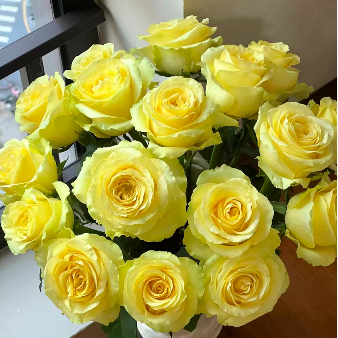 【浪漫沙滩】全场任意满两单升级顺丰云南基地鲜切花