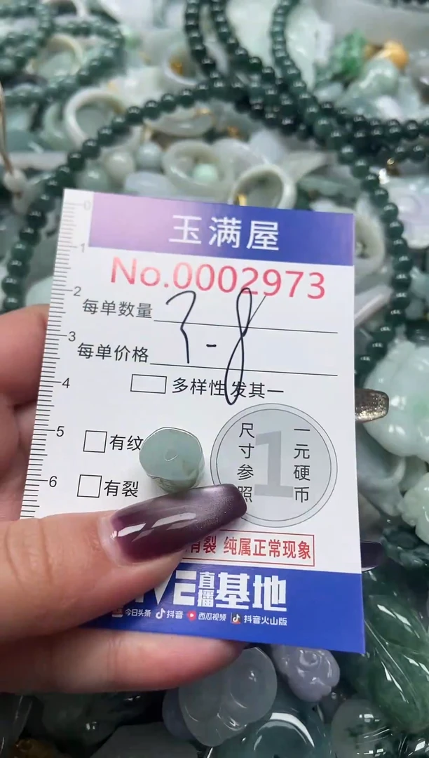 颈饰未镶嵌翡翠2973