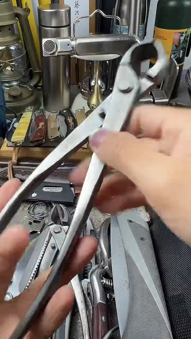 瓷片瓷片东京很热杂货正品保证