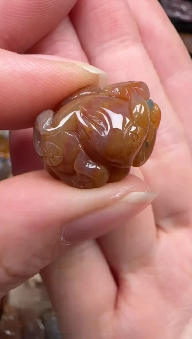 颈饰未镶嵌硅化珊瑚（珊瑚玉）887