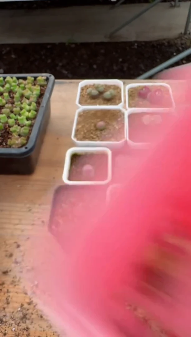 【闪购商品】17-156奶瓶