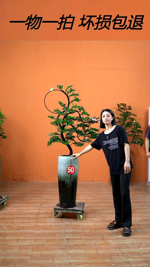 无花朵鑫**溪广东小叶紫檀