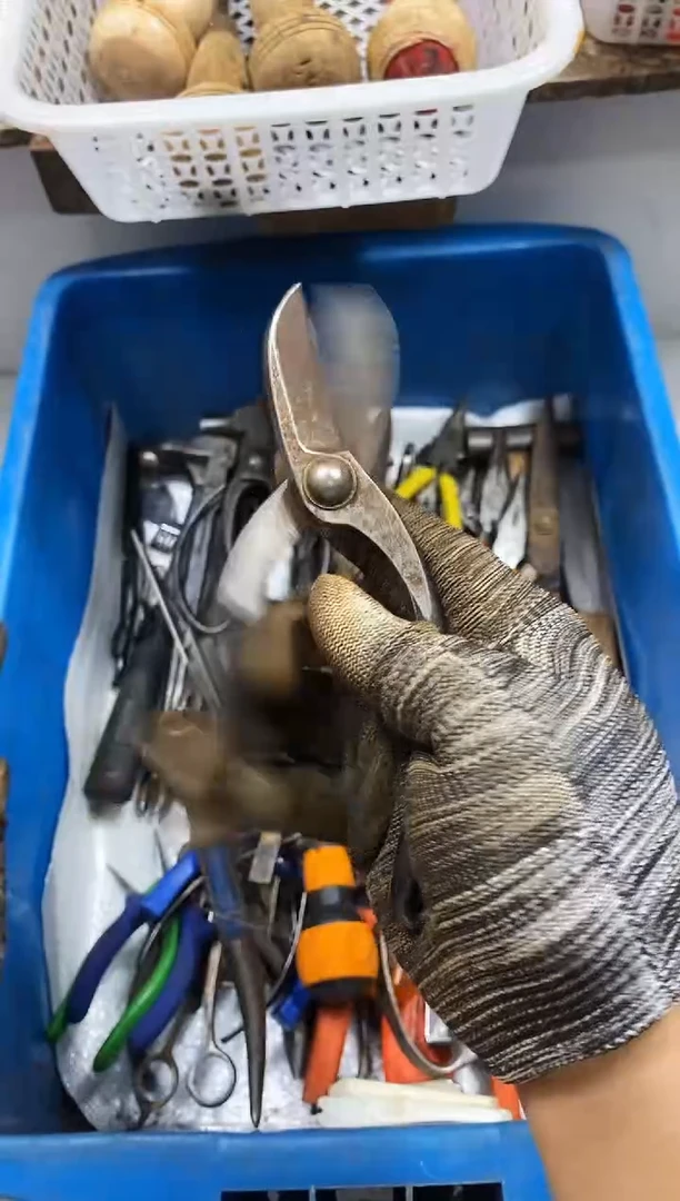 星*麻嘎子工具闪购链接一物一拍