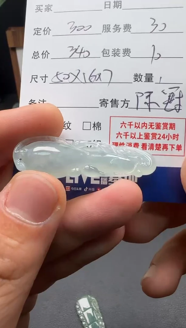 颈饰未镶嵌翡翠3002463