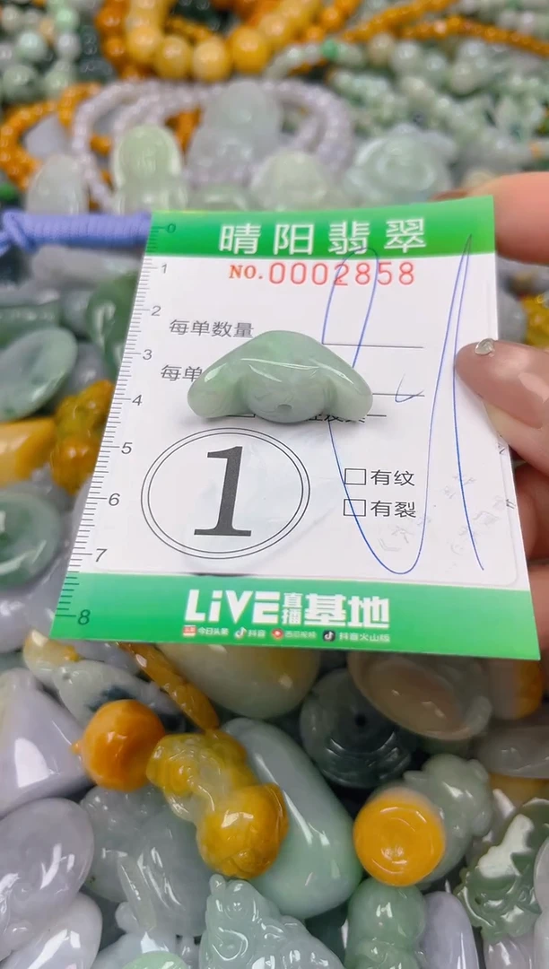 颈饰未镶嵌翡翠闪购0002858