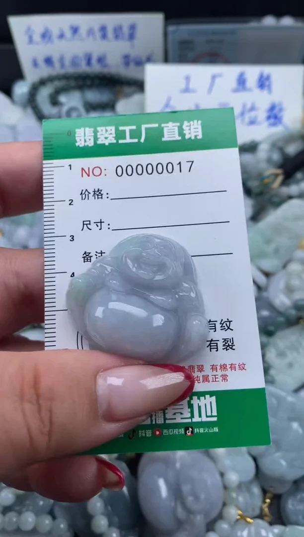 翡翠未镶嵌颈饰天然A货翡翠0017
