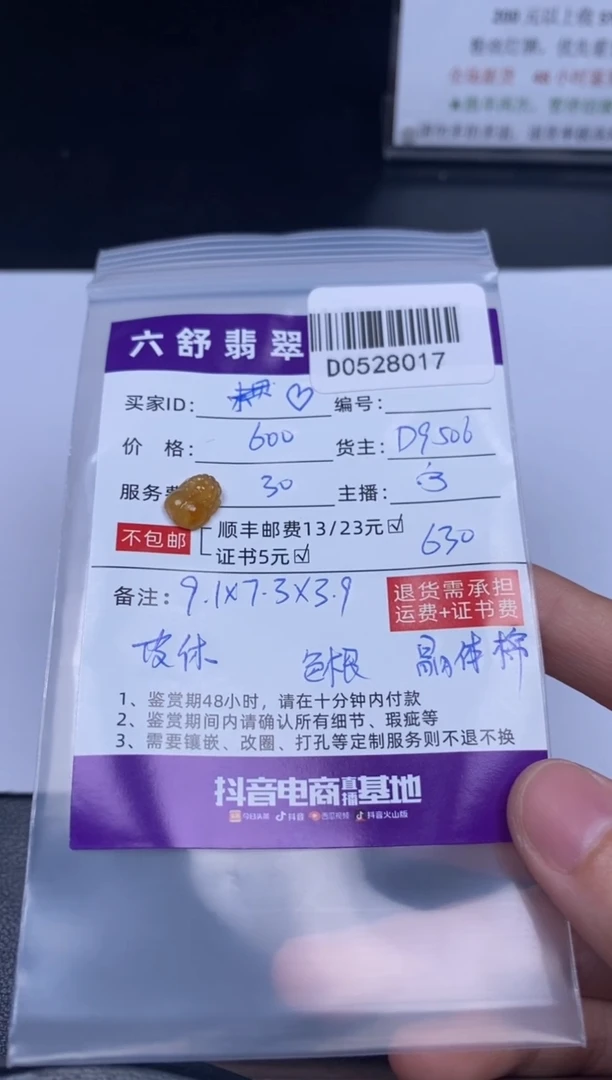 翡翠未镶嵌吊坠(不含链)D0528017