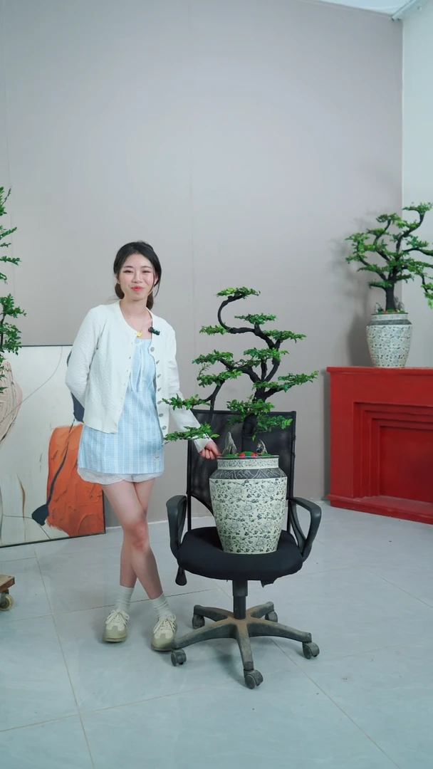 【闪购商品】桌面款