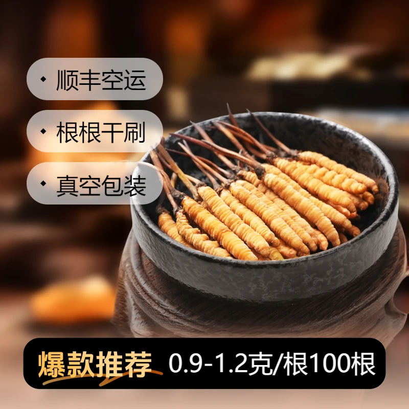 【央吉专属】0.9-1.2克/根 100根  2025新鲜冬虫夏草滋补食用