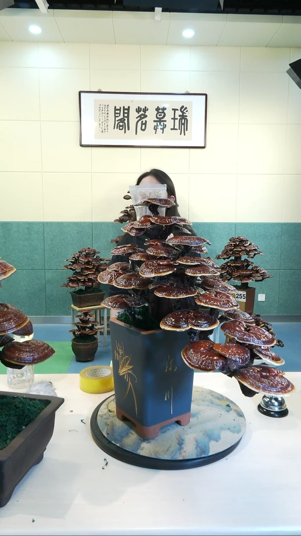 无花朵政**保179-418