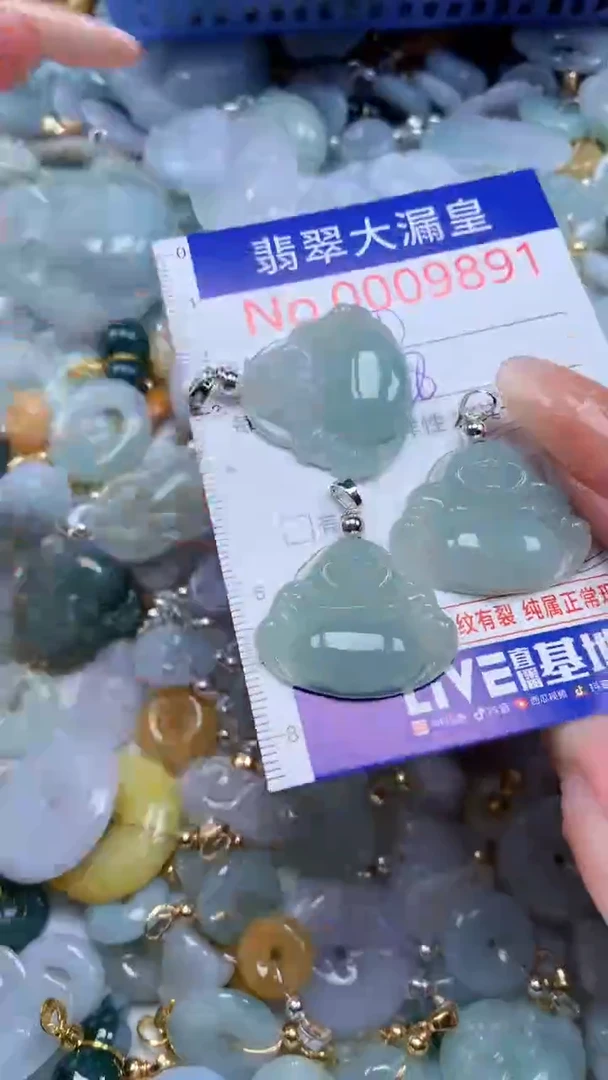 翡翠未镶嵌吊坠(不含链)9891多样性发其一