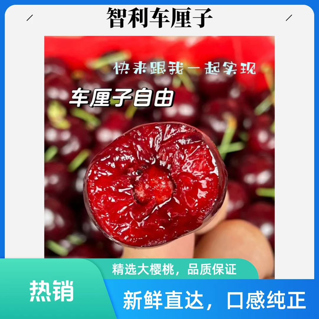 智利车厘子XLD/JD/2JD/3JD(1-5斤）