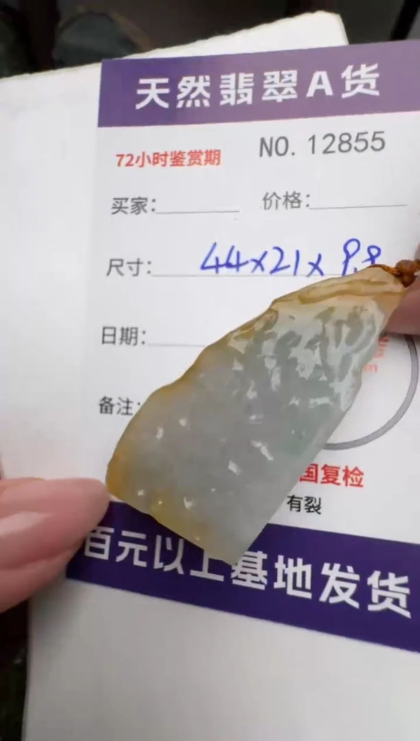 【闪购商品】翡翠颈饰未镶嵌原石12855