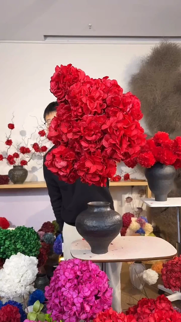 89  吸色永生大叶绣球花球11枝  红