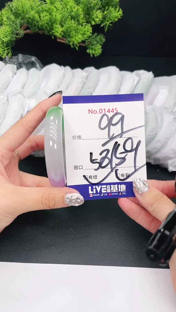 未镶嵌手镯翡翠01445