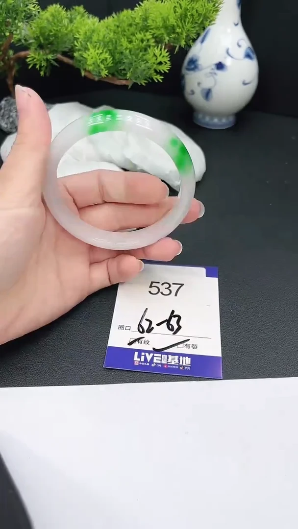 未镶嵌手镯翡翠537