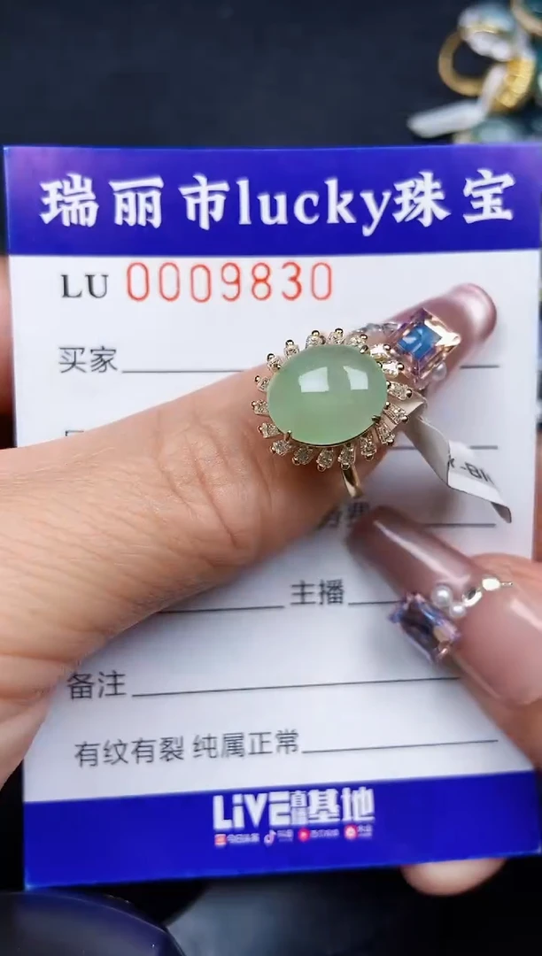 翡翠银S925镶嵌颈饰9830