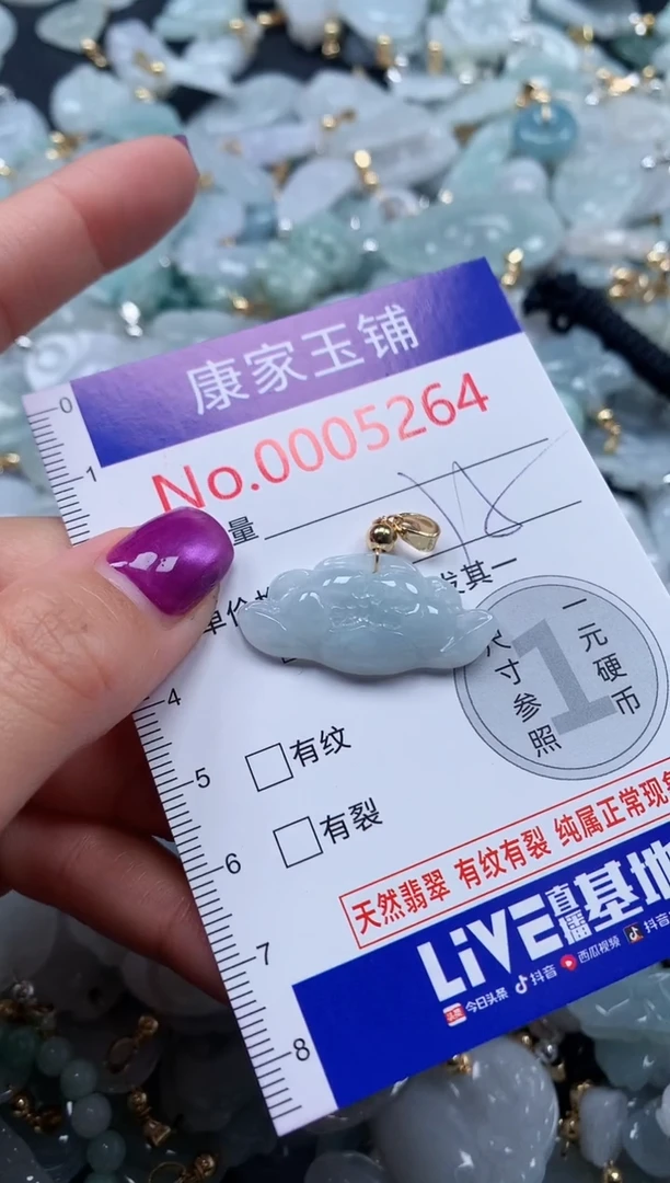 颈饰未镶嵌翡翠5264