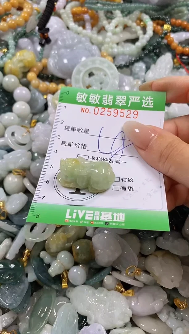 翡翠未镶嵌颈饰闪购0259529
