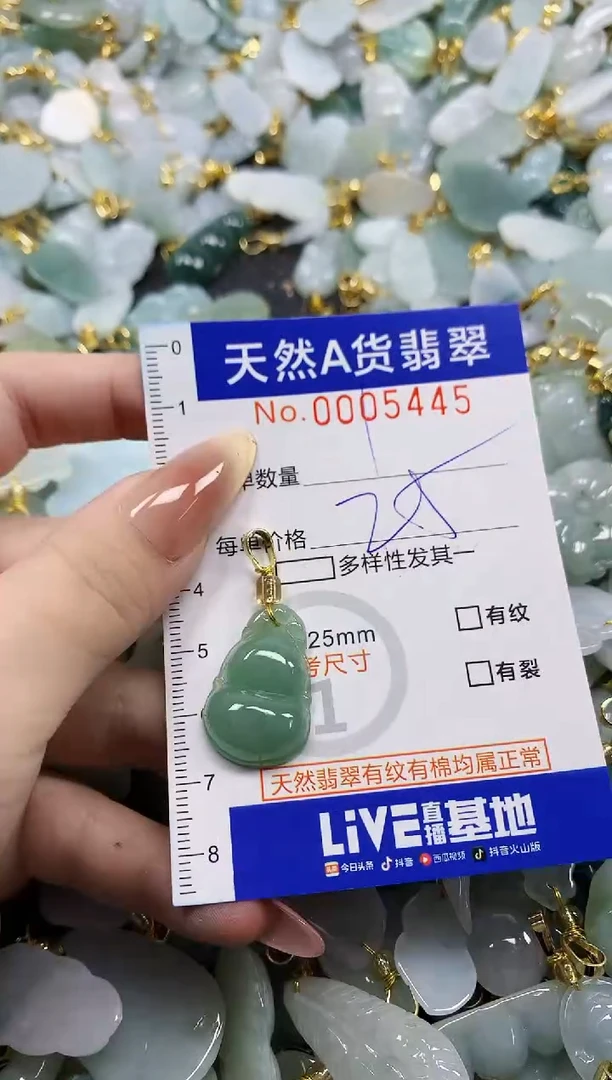 颈饰未镶嵌翡翠天然A货翡翠1