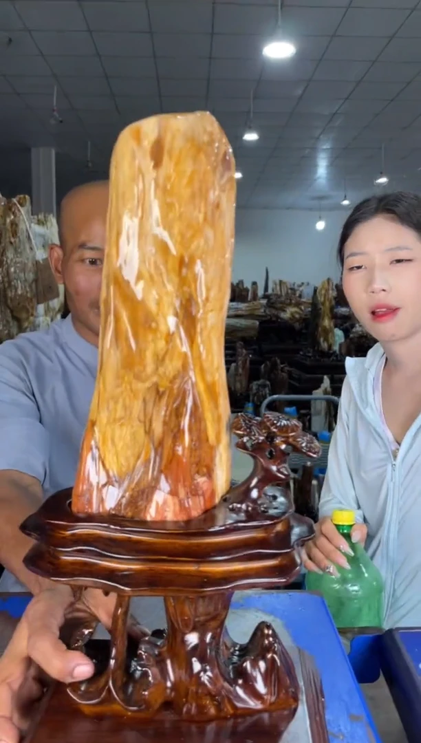 未镶嵌摆件硅化玉14