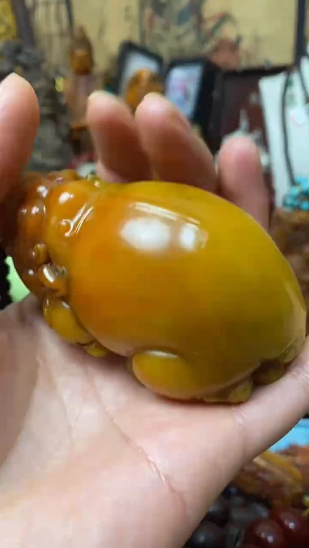 【闪购商品】随型如图所示主播推荐46424